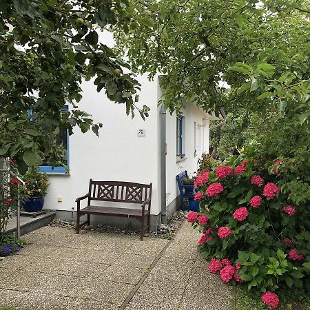 Ferienwohnung Mit Garten Wieck Luaran gambar